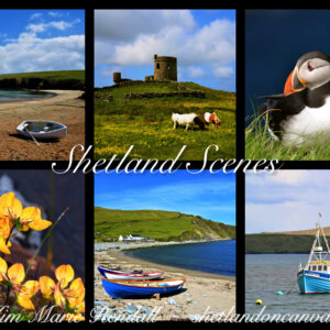 Shetland on Canvas 1000 Piece Jigsaw - Shetland Scenes 5