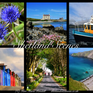 Shetland on Canvas 1000 Piece Jigsaw - Shetland Scenes 6